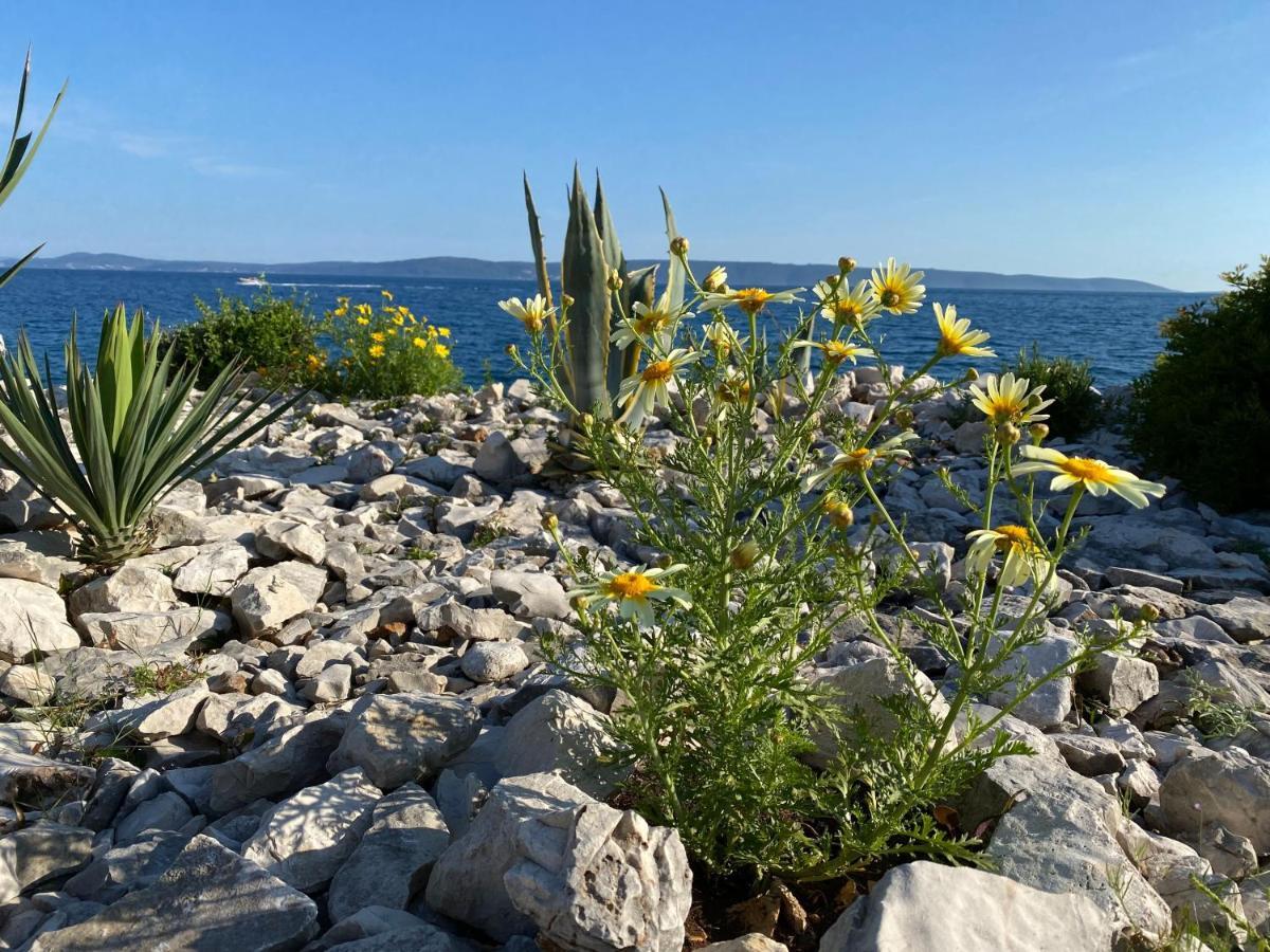 Apartment Agnes With 63 M2 Rooftop Terrace, Grill And Pool Okrug Gornji Buitenkant foto